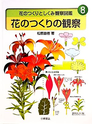 花のつくりの観察花のつくりとしくみ観察図鑑8