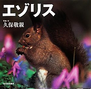 エゾリス 北国の野生動物