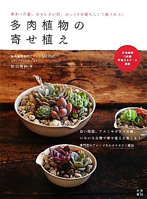 多肉植物の寄せ植え