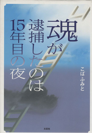 魂が逮捕したのは15年目の夜