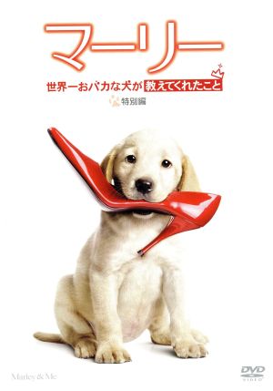 マーリー 世界一おバカな犬が教えてくれたこと 特別編