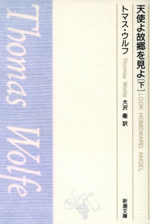 天使よ故郷を見よ(下) 新潮文庫