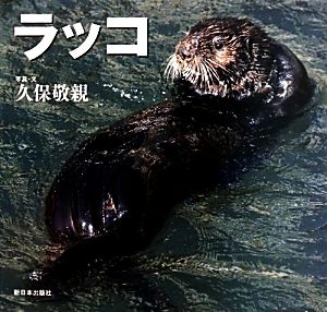 ラッコ 北国の野生動物