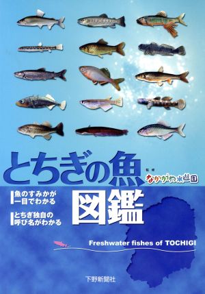 とちぎの魚図鑑 魚のすみかが一目でわかるとちぎ独自の呼び名が