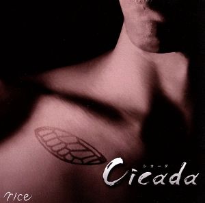 Cicada