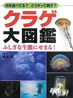 クラゲ大図鑑 何を食べてる？どうやって刺す？ふしぎな生態にせまる！