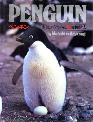 ペンギン 南極からの手紙