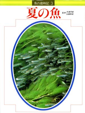 夏の魚 3