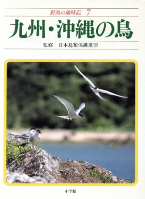 九州・沖縄の鳥