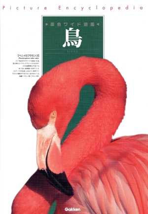鳥 改訂新版 原色ワイド図鑑
