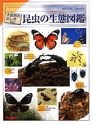 昆虫の生態図鑑 大自然のふしぎ 増補改訂