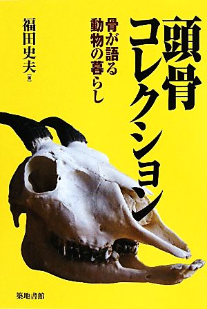 頭骨コレクション 骨が語る動物の暮らし