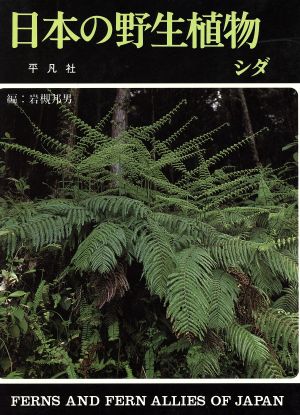 日本の野生植物 シダ