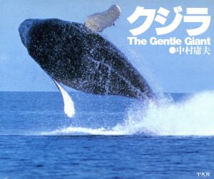 クジラ The gentle giant