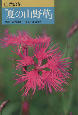 自然の花「夏の山野草」