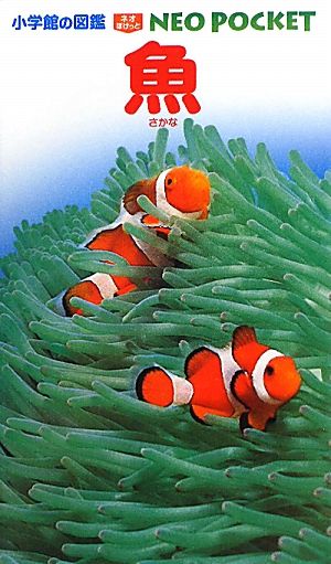 魚小学館の図鑑NEO POCKET3