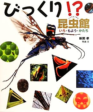 びっくり!?昆虫館 いろ・もよう・かたち ちしきのぽけっと11