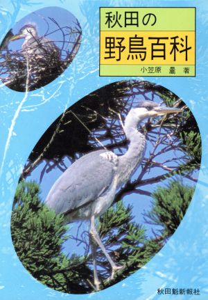 秋田の野鳥百科