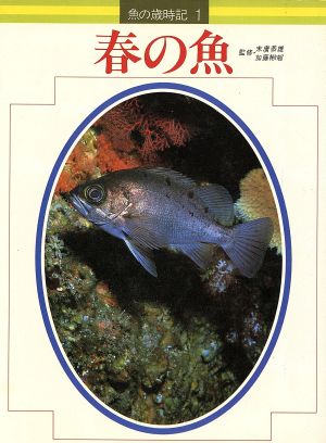 春の魚 1