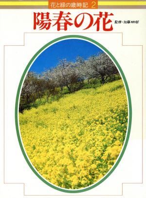 陽春の花 2 陽春の花