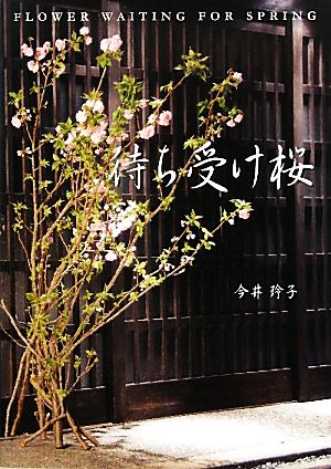 待ち受け桜