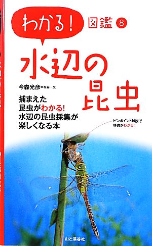 水辺の昆虫 わかる！図鑑8