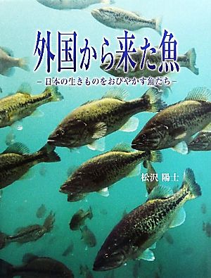 外国から来た魚 日本の生きものをおびやかす魚たち