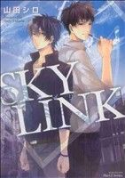 SKY LINK ミリオンC Hertz