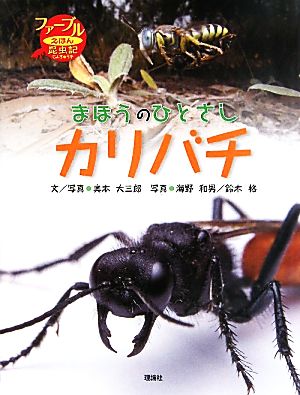 まほうのひとさしカリバチ ファーブルえほん昆虫記