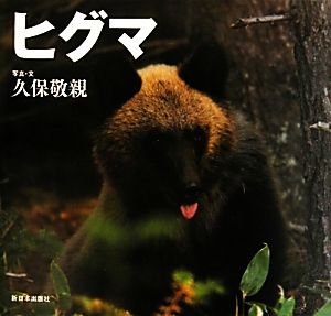 ヒグマ 北国の野生動物