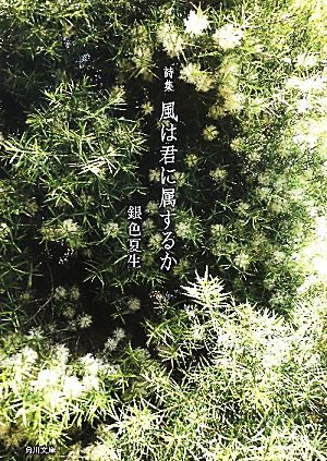 詩集 風は君に属するか 角川文庫