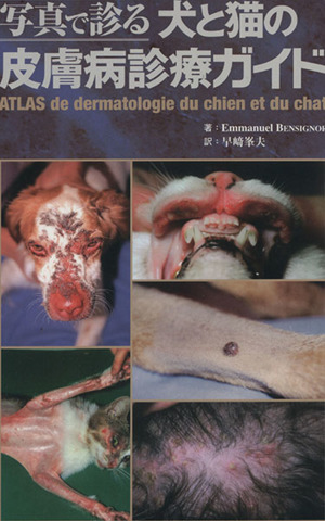 写真で診る犬と猫の皮膚病診ガイド