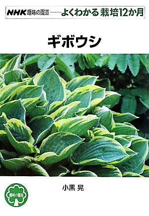 趣味の園芸 ギボウシよくわかる栽培12か月NHK趣味の園芸
