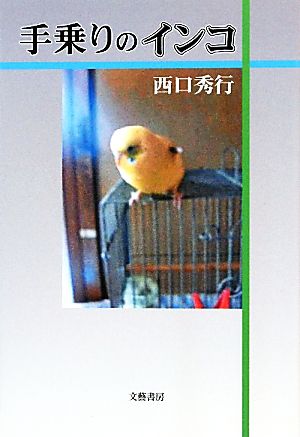 手乗りのインコ