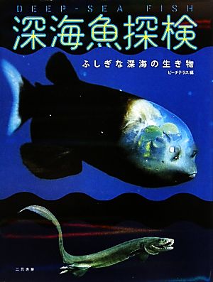 深海魚探検