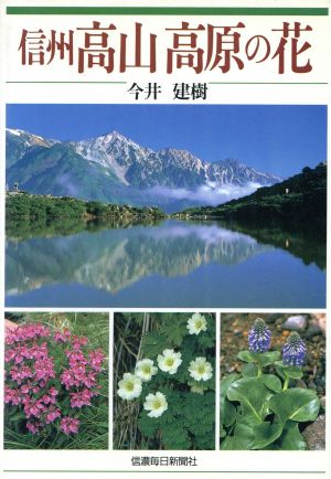 信州高山高原の花