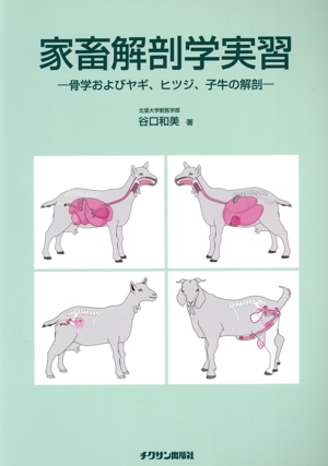 家畜解剖学実習 骨学およびヤギ、ヒツジ、子牛の解剖