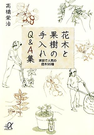 花木と果樹の手入れQ&A集 家庭で人気の庭木95種 講談社+α文庫