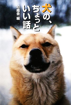 犬の、ちょっといい話