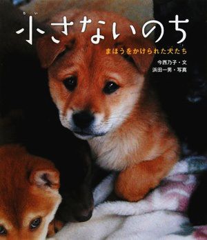 小さないのち まほうをかけられた犬たち 動物たちの命の物語1