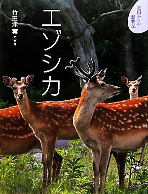 エゾシカ 北国からの動物記4