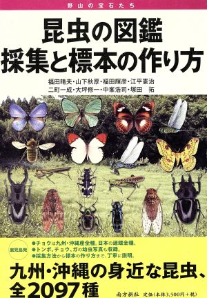 昆虫の図鑑採集と標本の作り方 野山の宝石たち