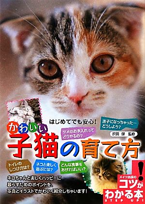 はじめてでも安心！かわいい子猫の育て方 コツがわかる本！