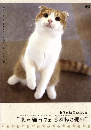 カフェねこonDVD 北の猫カフェ らぶねこ便り