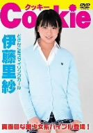 Cookie 伊藤里紗