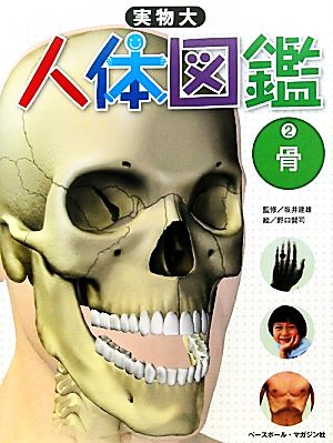実物大 人体図鑑(2)骨