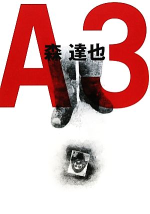 A3