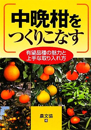 中晩柑をつくりこなす 有望品種の魅力と上手な取り入れ方