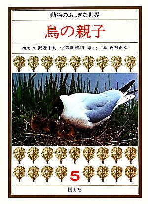 動物のふしぎな世界(5) 鳥の親子 動物のふしぎな世界