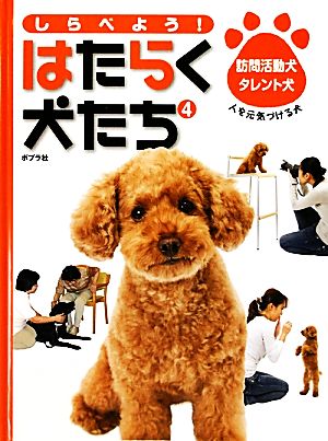 しらべよう！はたらく犬たち(4) 訪問活動犬・タレント犬 人を元気づける犬